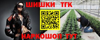 spice Свободный